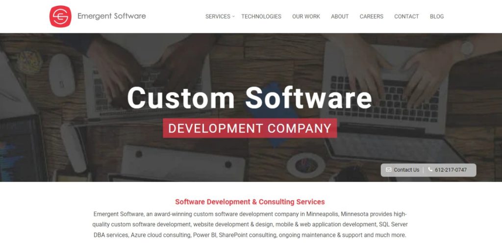 Emergent Software Web Development Companies